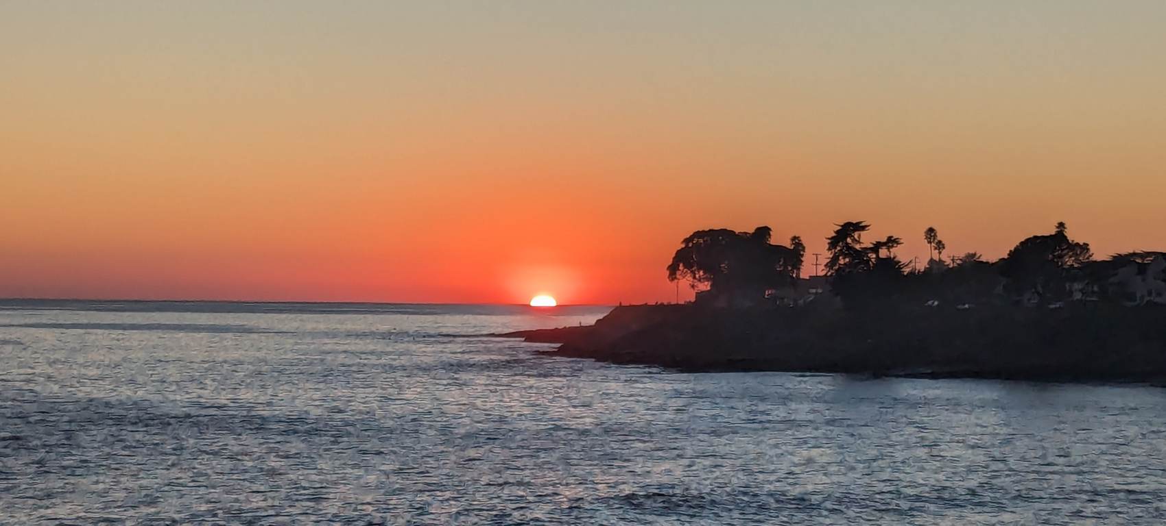 The sun setting over the ocean beside the West Cliff headland in Santa Cruz, with cypress trees on the point.
